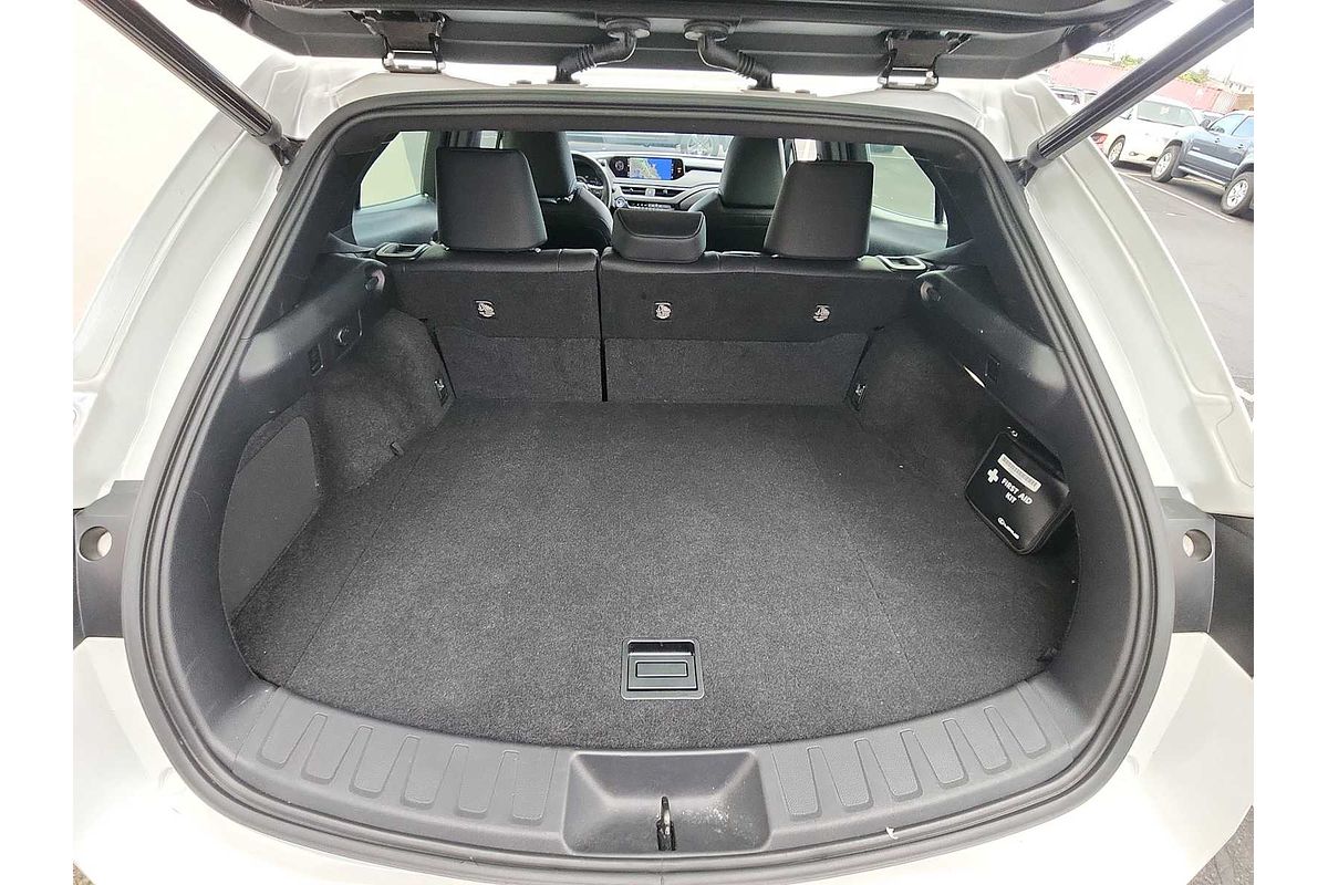 2021 Lexus UX Luxury