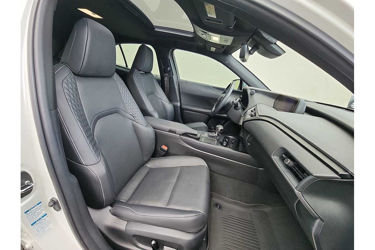 2021 Lexus UX Luxury