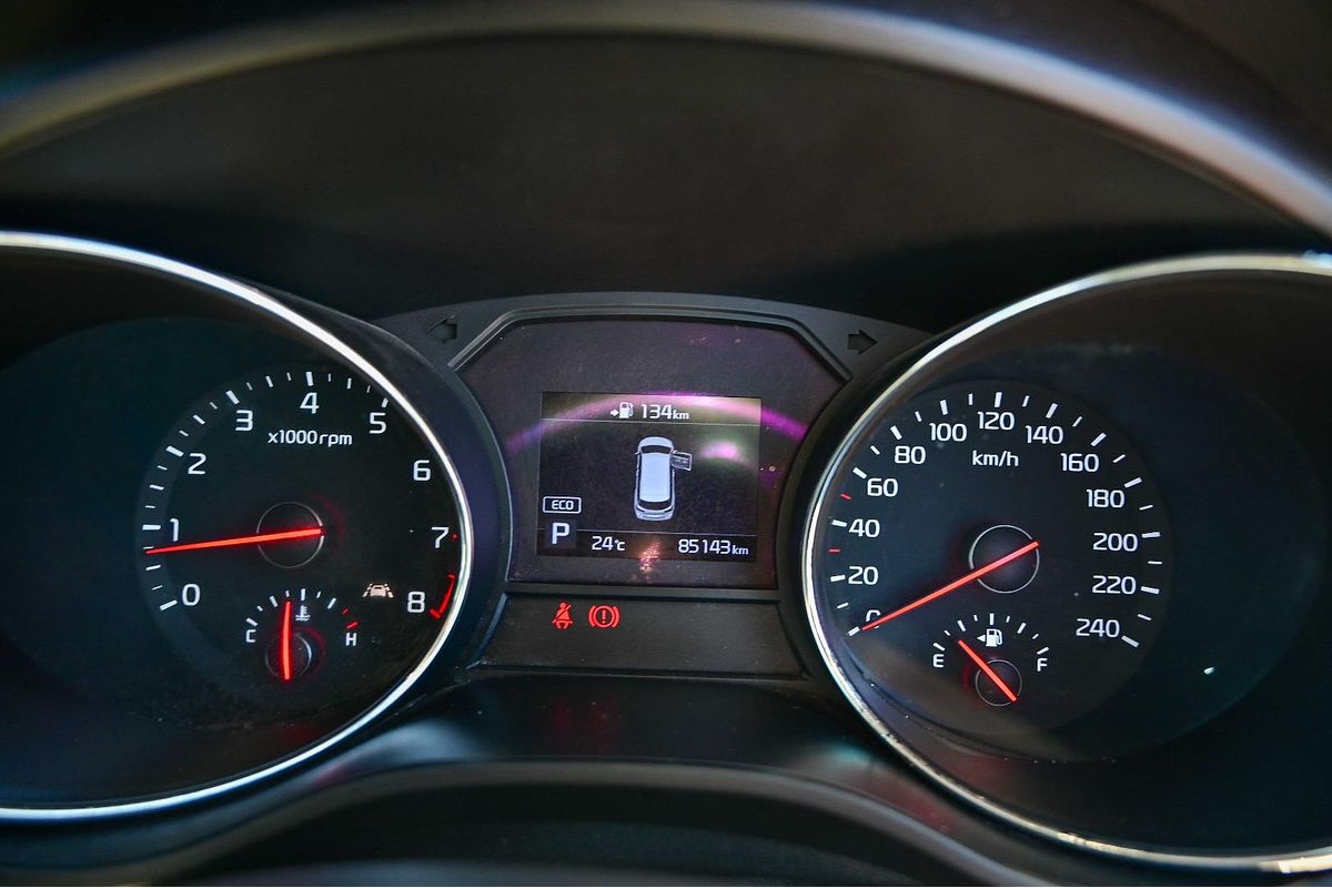 2019 Kia Carnival S YP