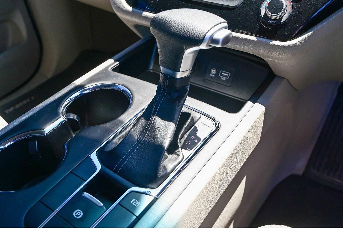 2019 Kia Carnival S YP