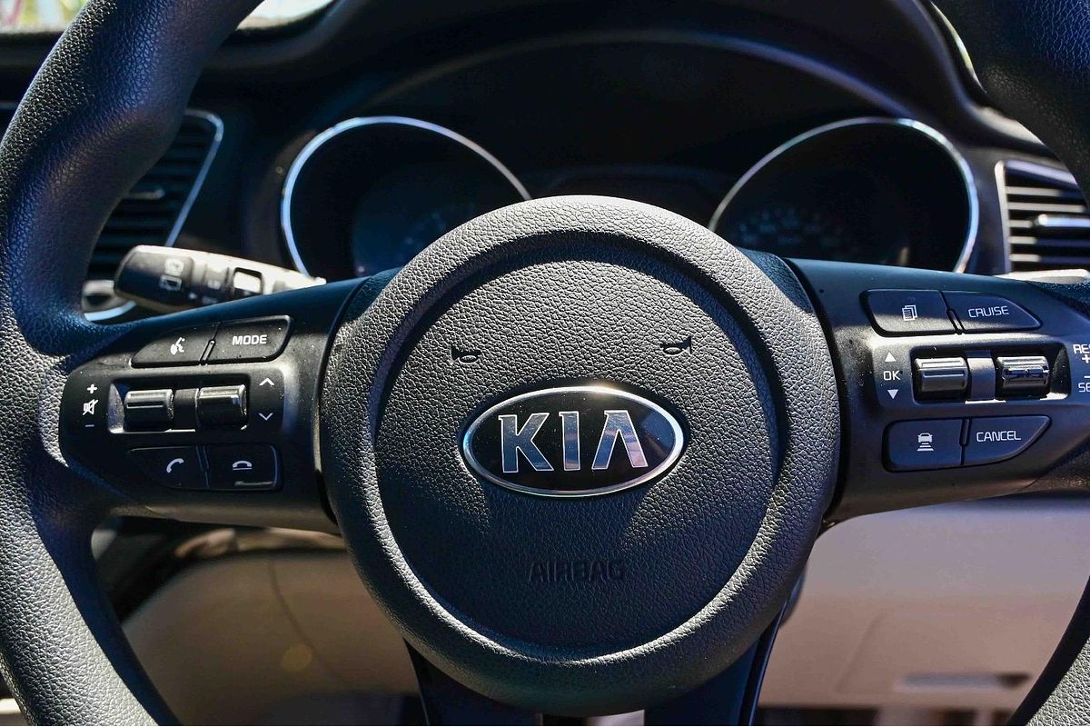 2019 Kia Carnival S YP