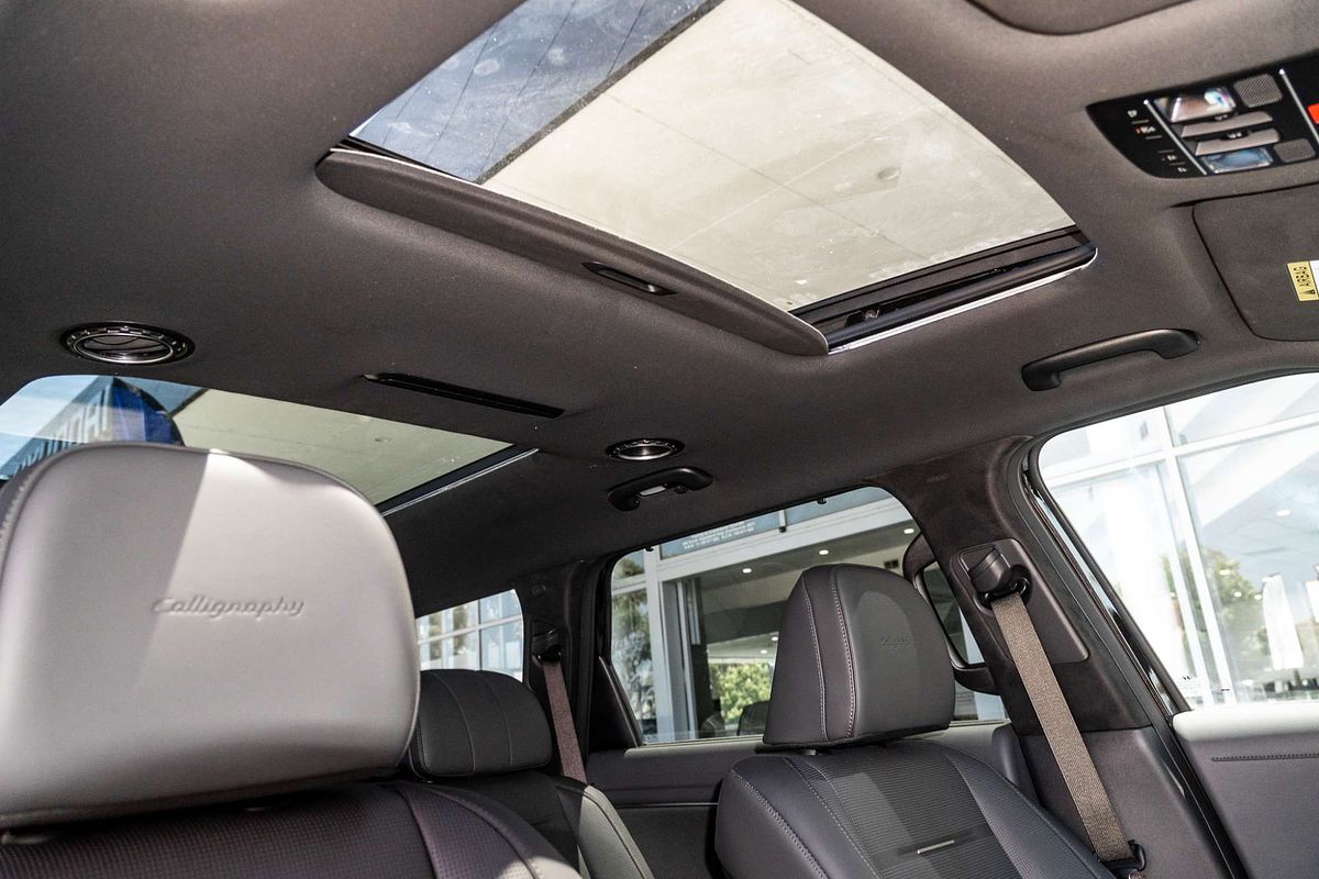 2025 Hyundai Palisade Calligraphy LX3.V1