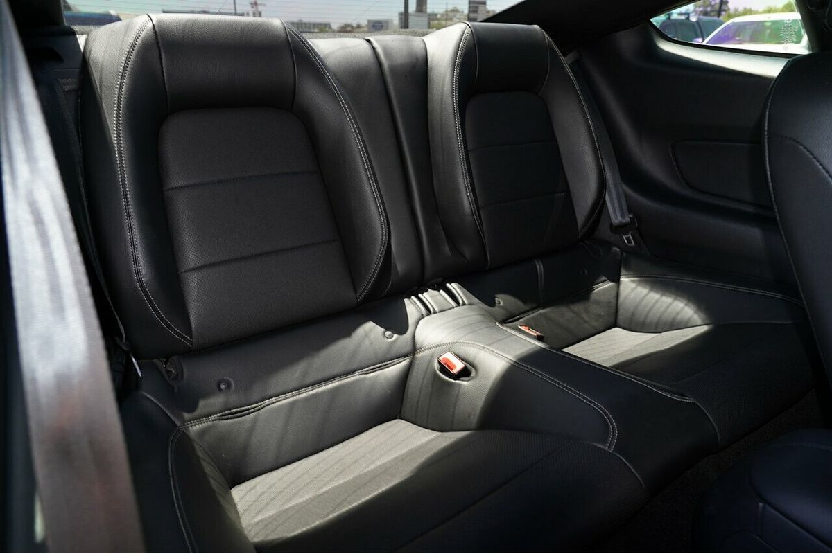 2019 Ford Mustang GT FN