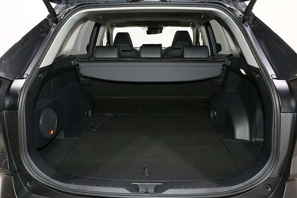 2024 Toyota RAV4 Cruiser AXAH52R