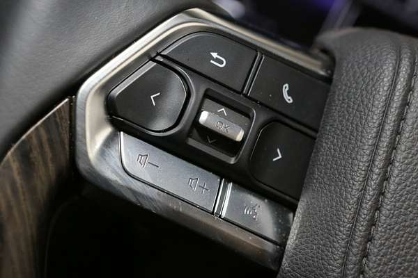 2025 Toyota Landcruiser VX FJA300R