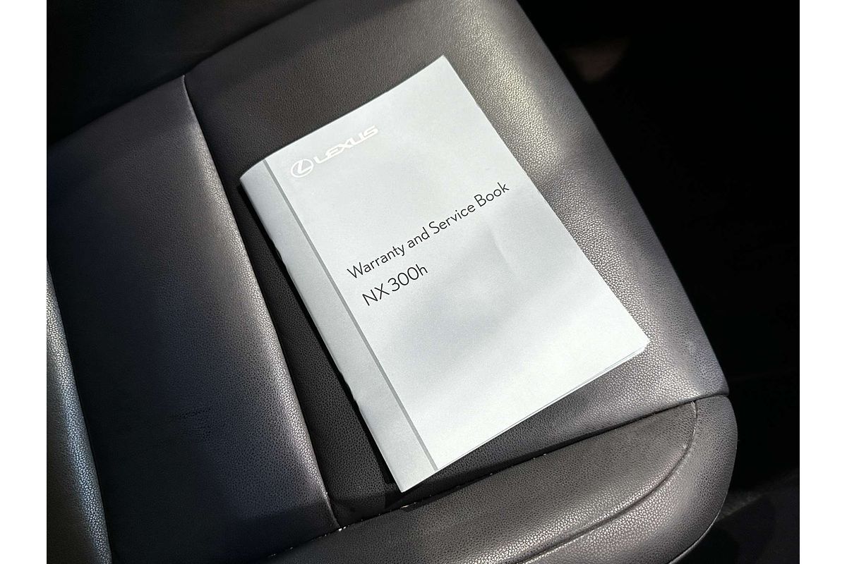 2015 Lexus NX NX300h Luxury AYZ10R