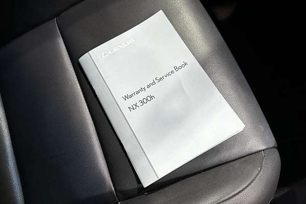 2015 Lexus NX NX300h Luxury AYZ10R