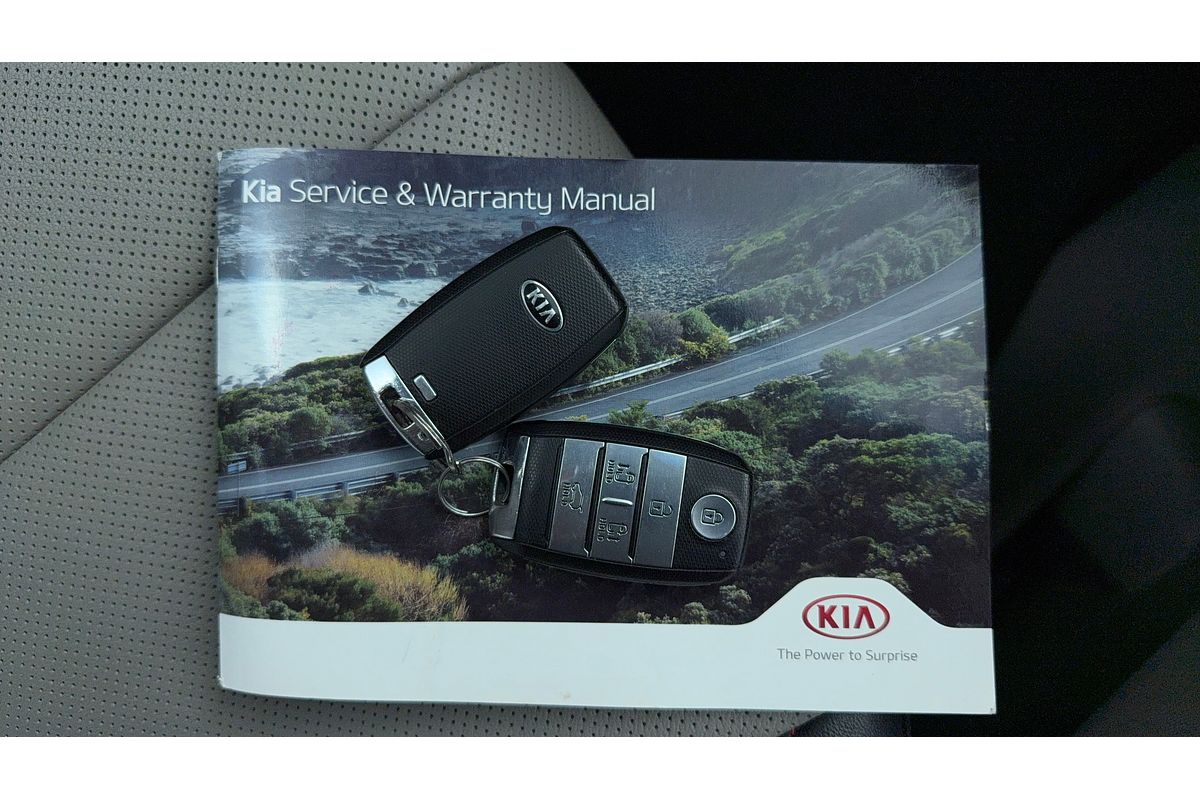 2020 Kia Carnival Platinum YP