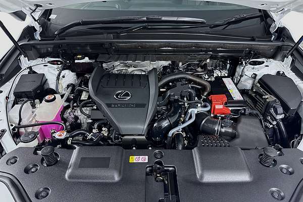 2023 Lexus NX NX350 F Sport TAZA25R