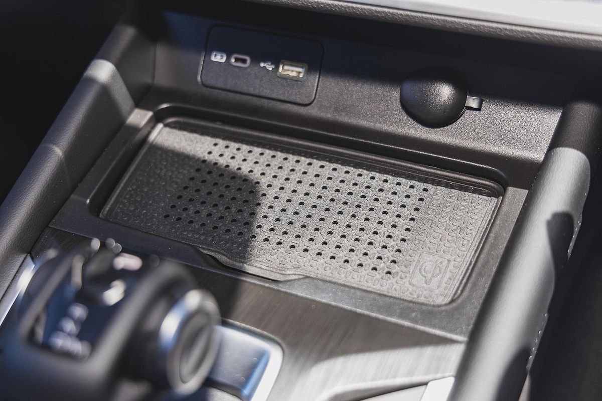 2025 GWM Cannon XSR NPW 4X4