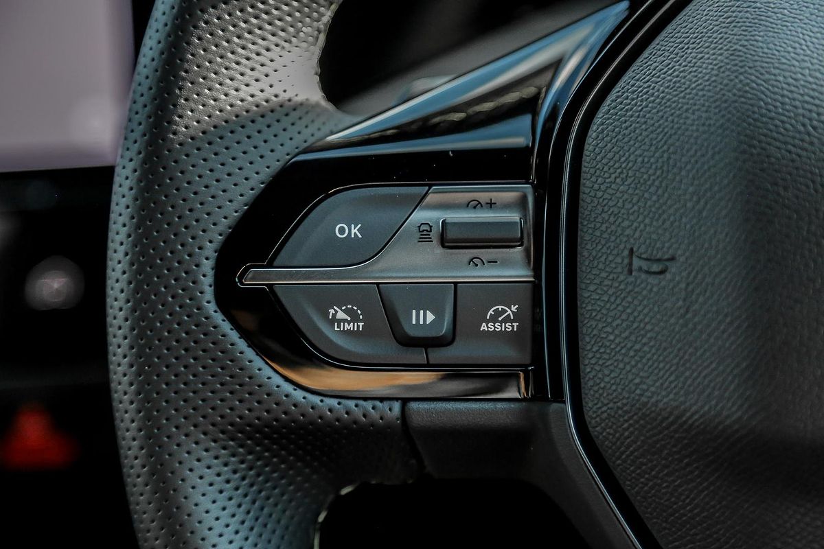 2023 Peugeot 308 GT P51