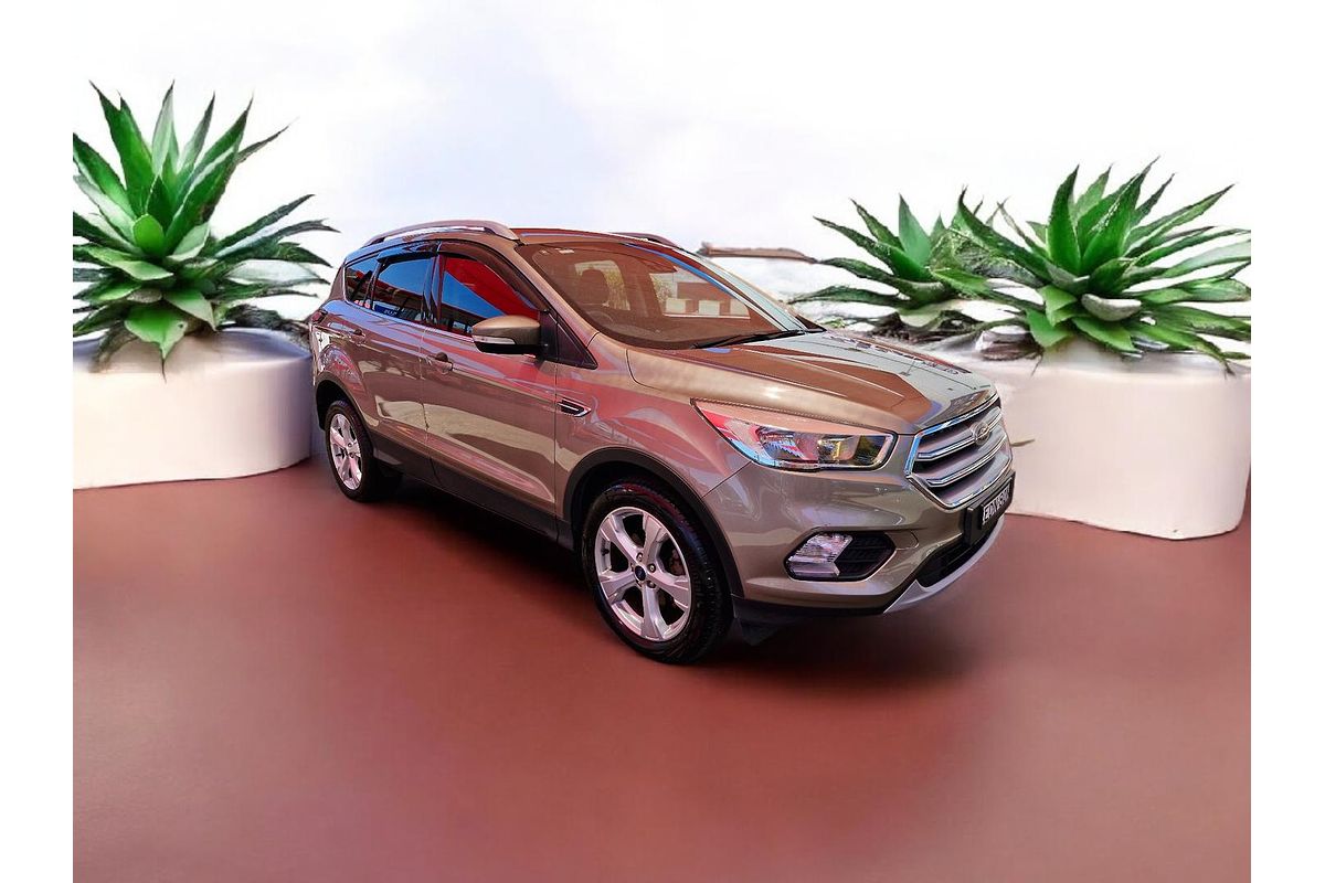 2019 Ford Escape Trend ZG