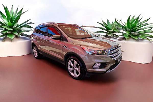 2019 Ford Escape Trend ZG