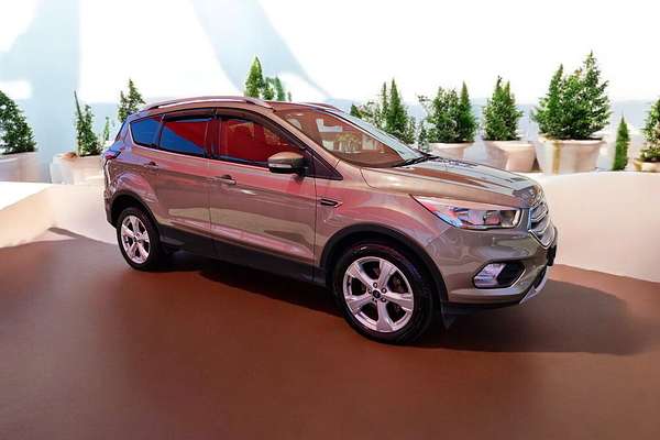 2019 Ford Escape Trend ZG