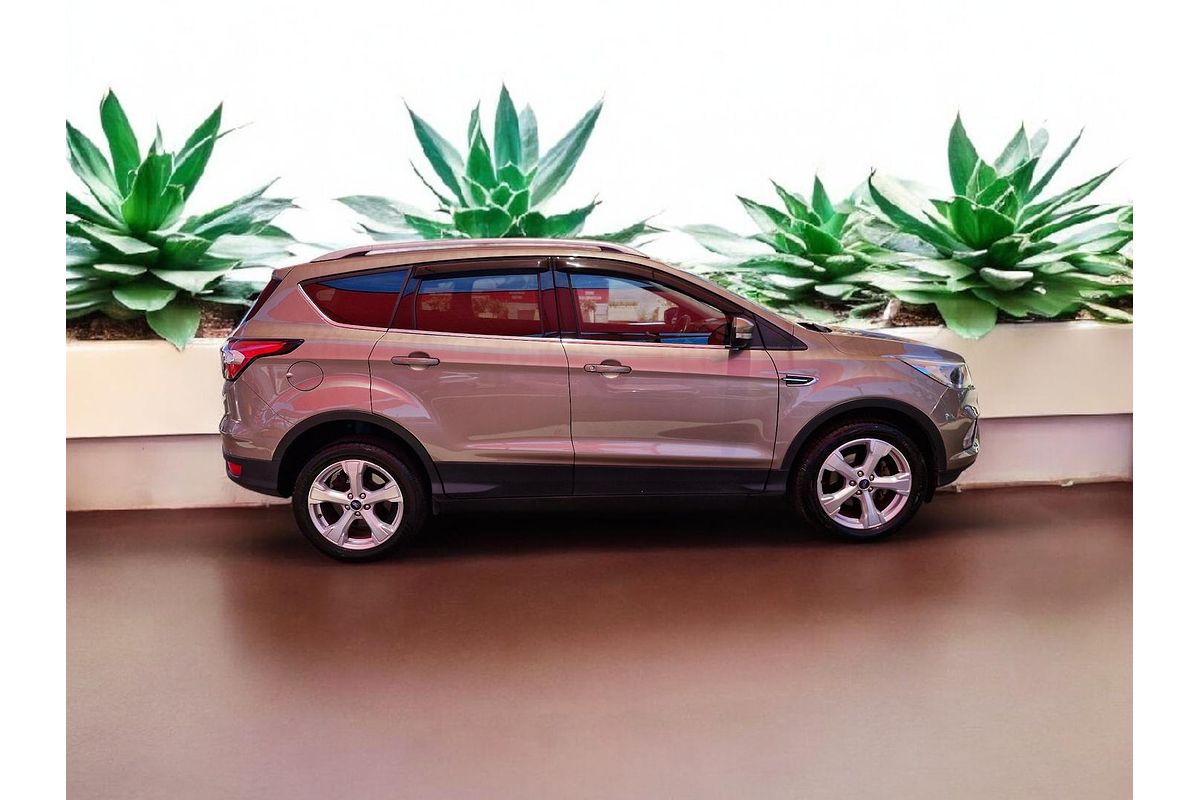 2019 Ford Escape Trend ZG
