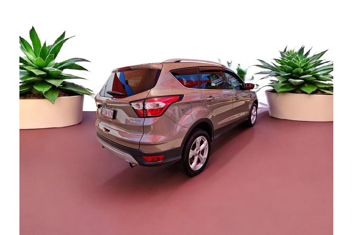 2019 Ford Escape Trend ZG