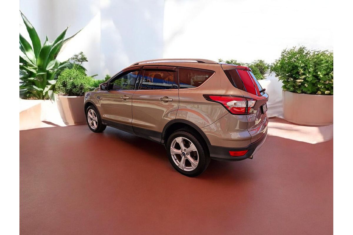 2019 Ford Escape Trend ZG