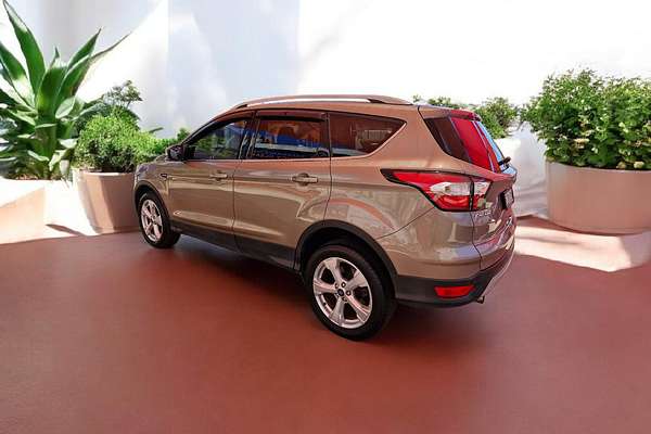 2019 Ford Escape Trend ZG