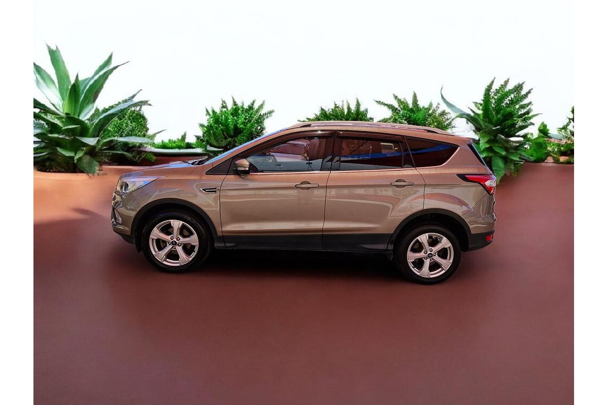 2019 Ford Escape Trend ZG