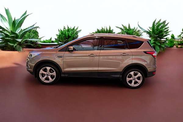 2019 Ford Escape Trend ZG
