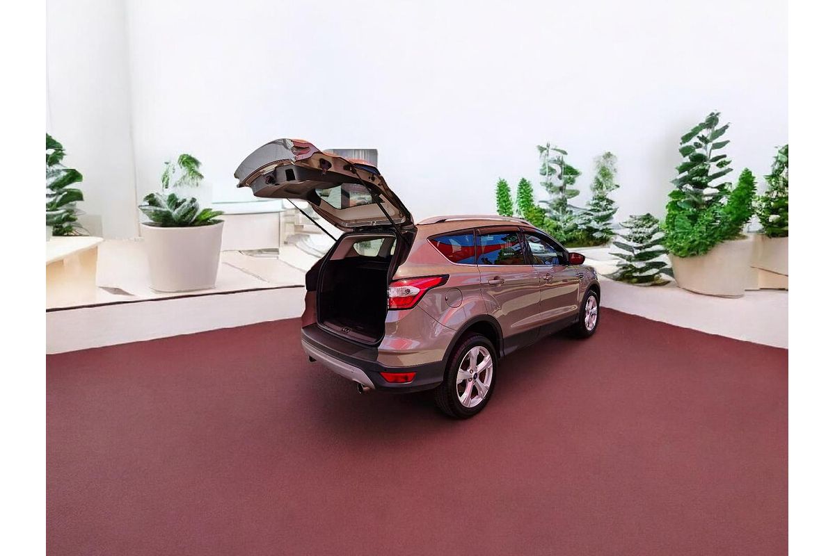 2019 Ford Escape Trend ZG