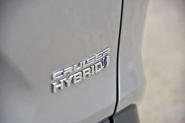 2020 Toyota RAV4 Cruiser AXAH54R