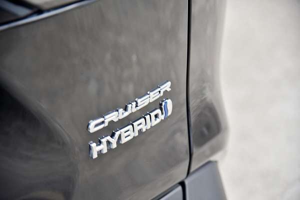 2020 Toyota RAV4 Cruiser AXAH52R