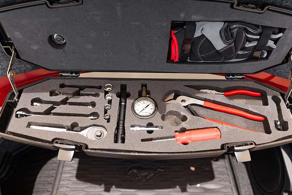 2020 Ford Mustang GT FN