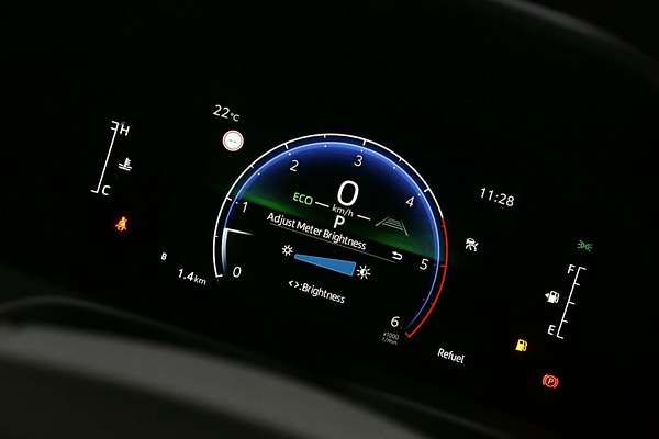 2025 Toyota Landcruiser GX FJA300R