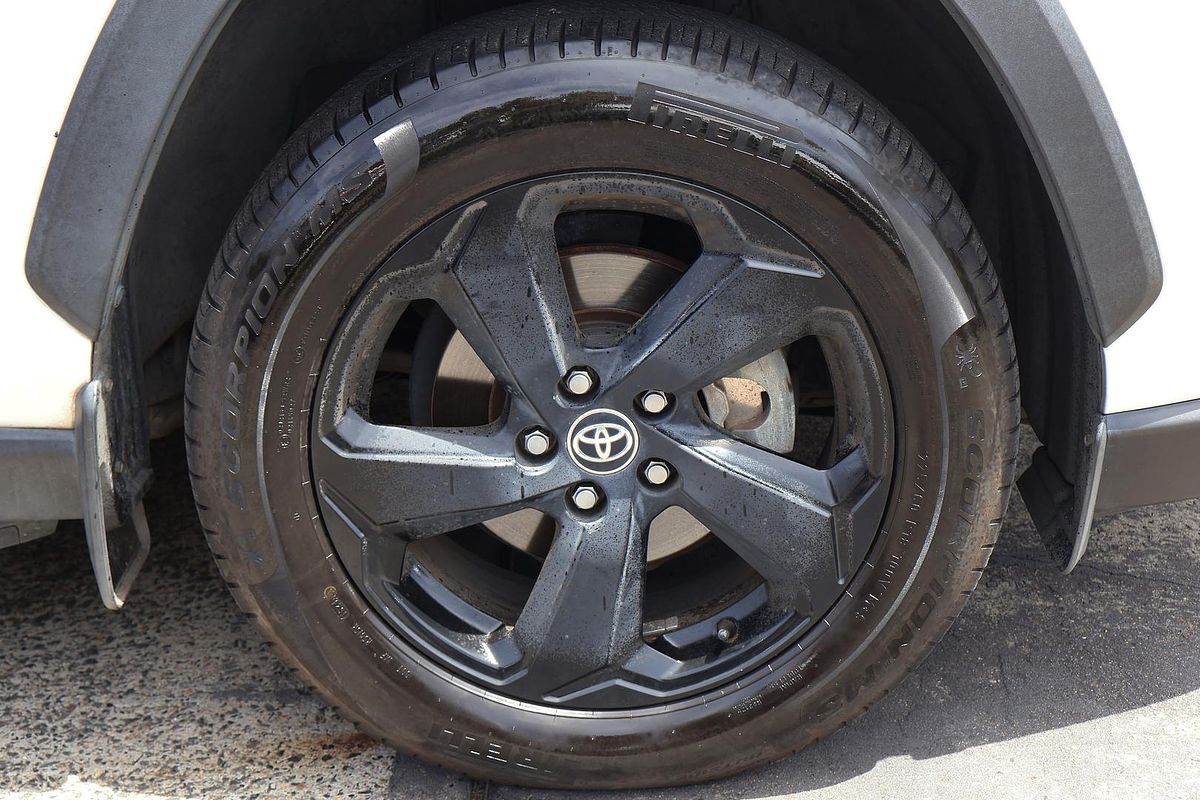 2020 Toyota RAV4 Cruiser AXAH54R