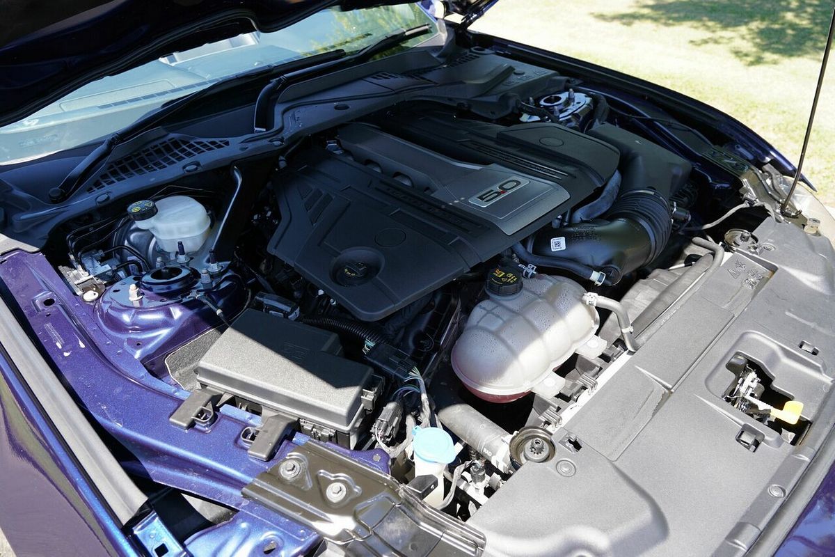 2019 Ford Mustang GT FN