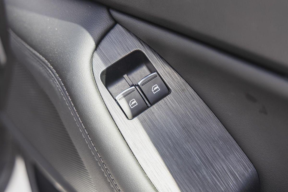 2025 GWM Cannon Premium NPW