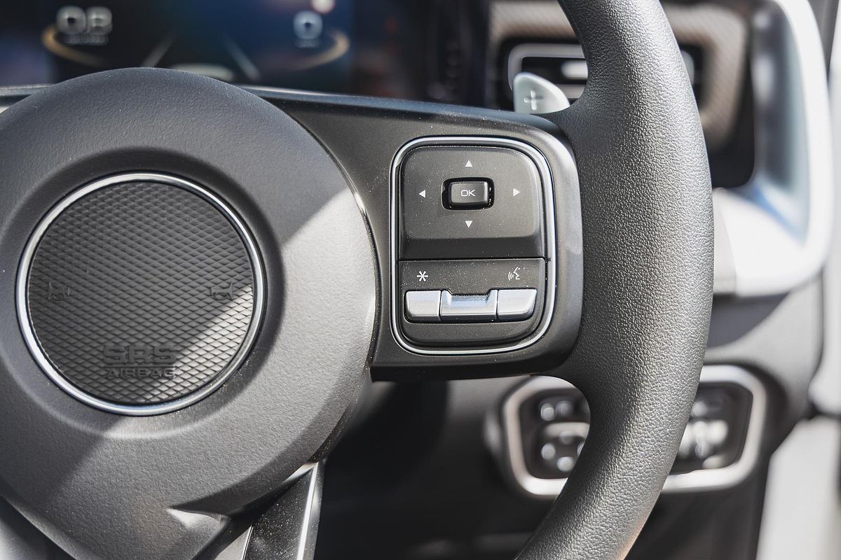 2025 GWM Cannon Premium NPW