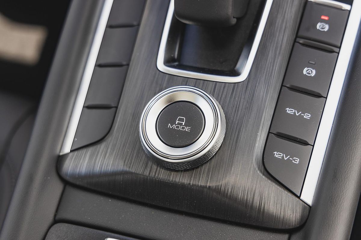 2025 GWM Cannon Premium NPW