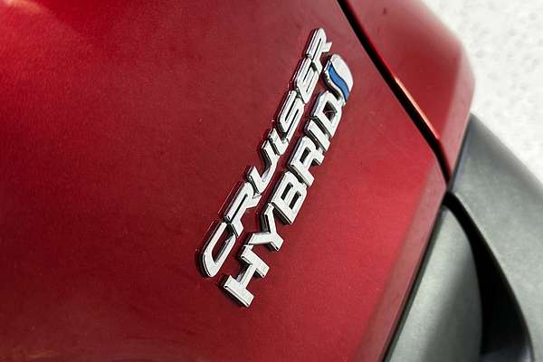 2019 Toyota RAV4 Cruiser AXAH54R