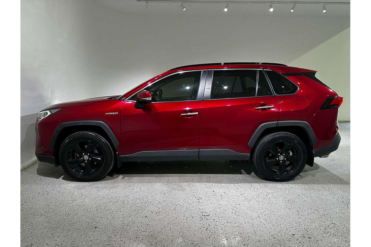 2019 Toyota RAV4 Cruiser AXAH54R