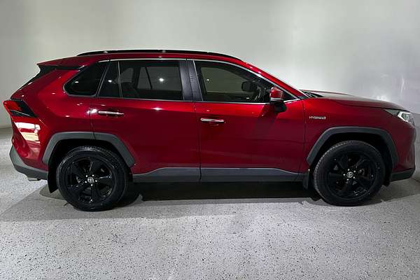 2019 Toyota RAV4 Cruiser AXAH54R