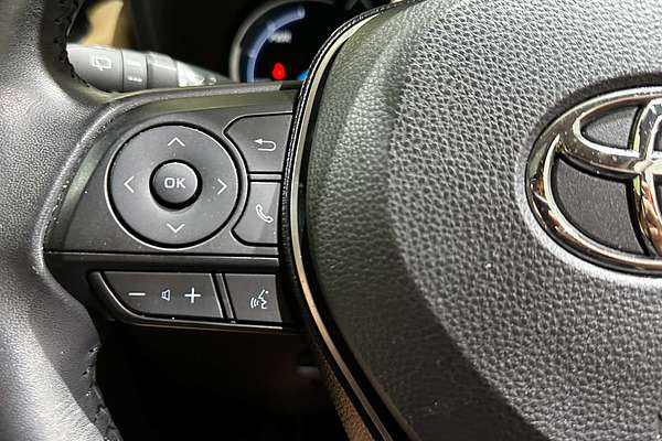 2019 Toyota RAV4 Cruiser AXAH54R