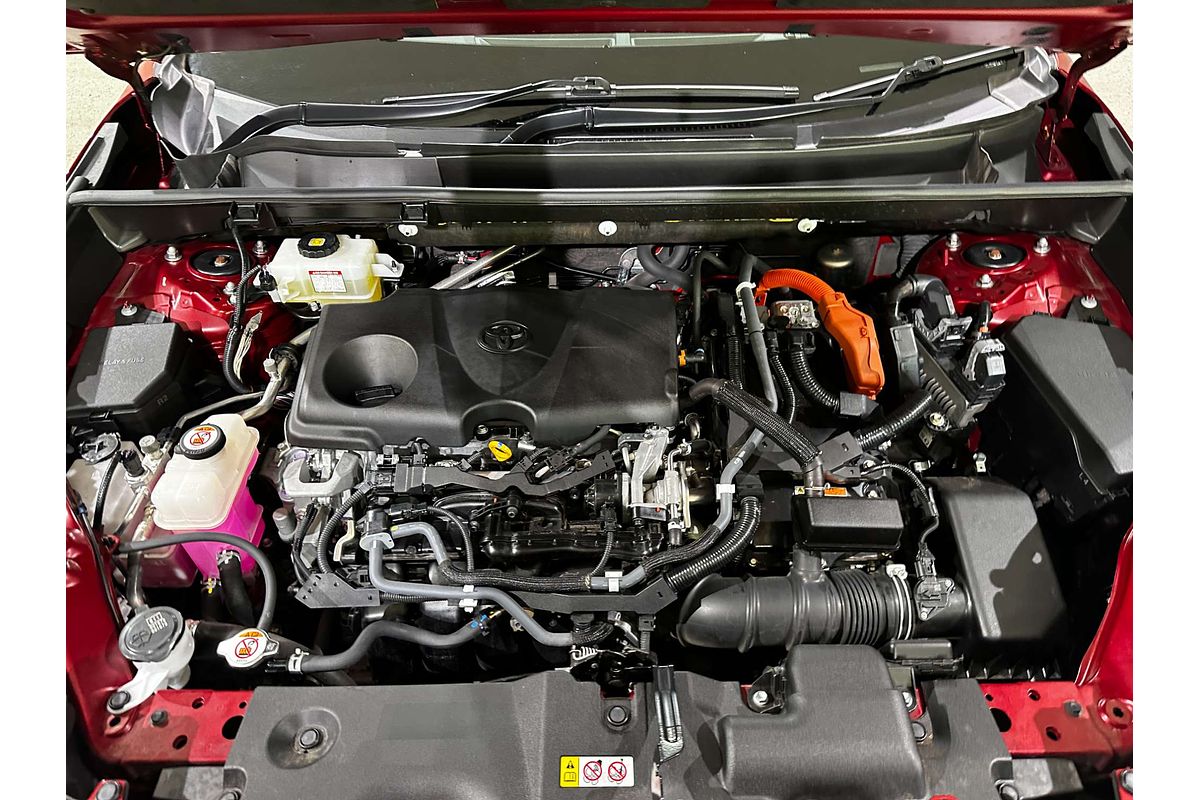 2019 Toyota RAV4 Cruiser AXAH54R