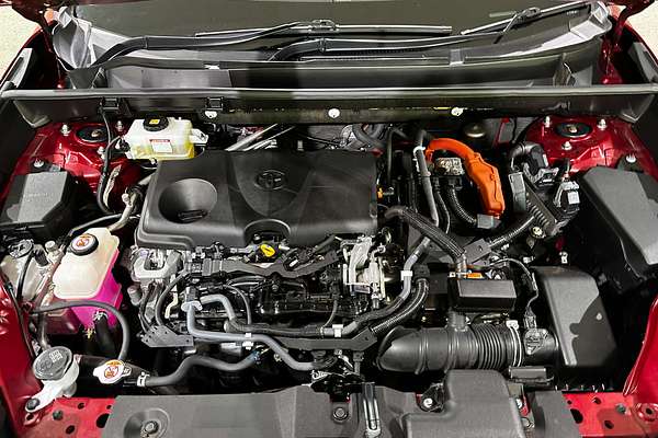 2019 Toyota RAV4 Cruiser AXAH54R