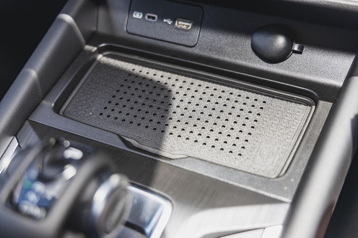 2025 GWM Cannon Lux NPW