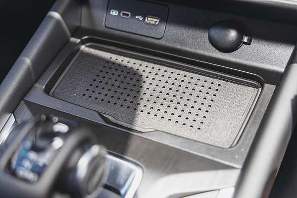 2025 GWM Cannon Lux NPW