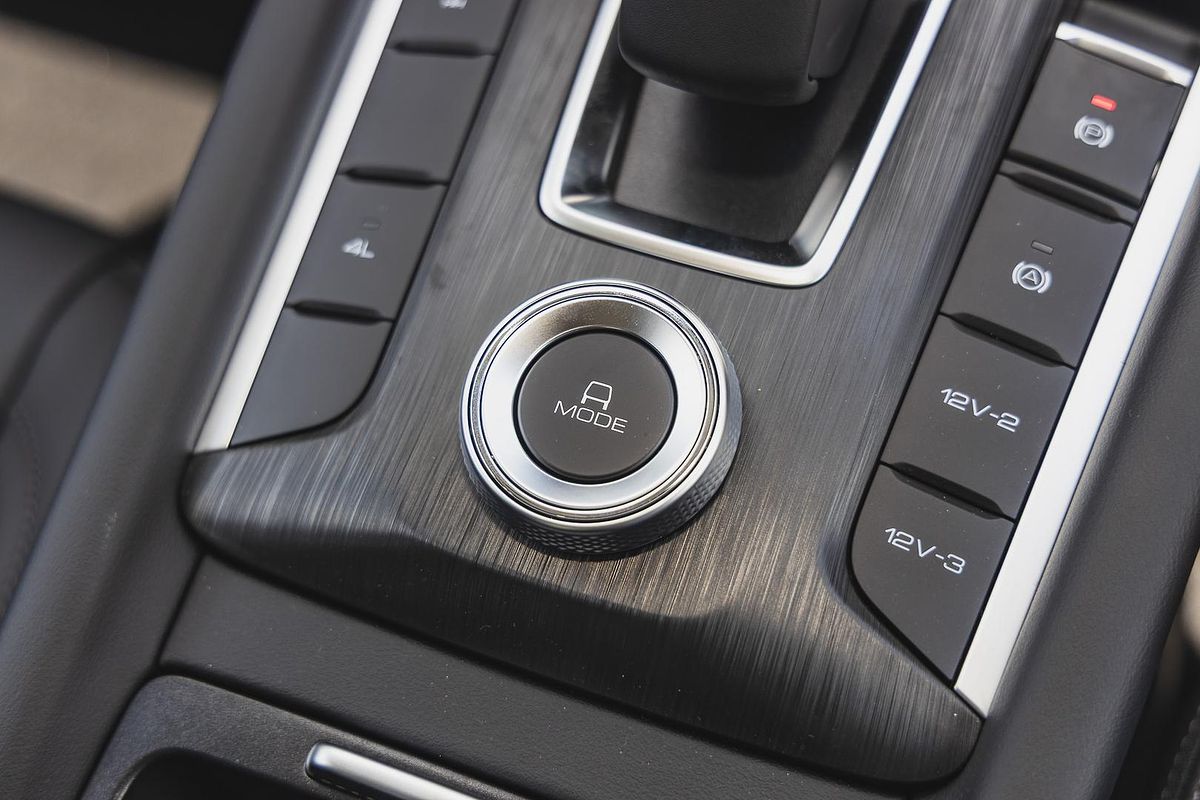 2025 GWM Cannon Lux NPW