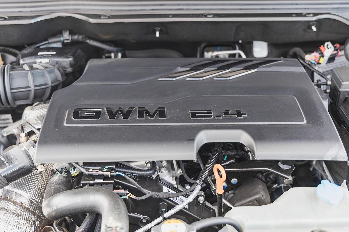 2025 GWM Cannon Lux NPW