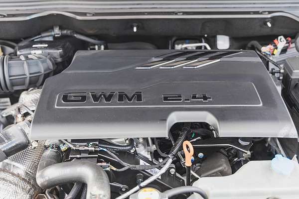 2025 GWM Cannon Lux NPW