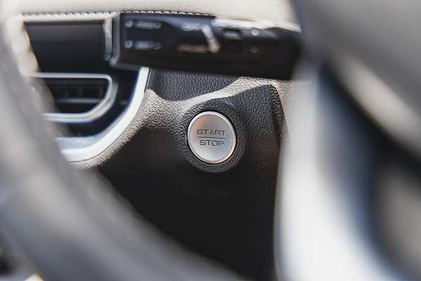 2025 GWM Cannon Lux NPW