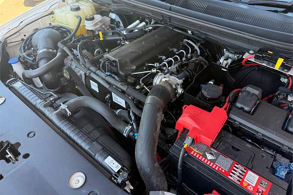 2021 Ford Ranger XL PX MkIII 4X4 3.2L