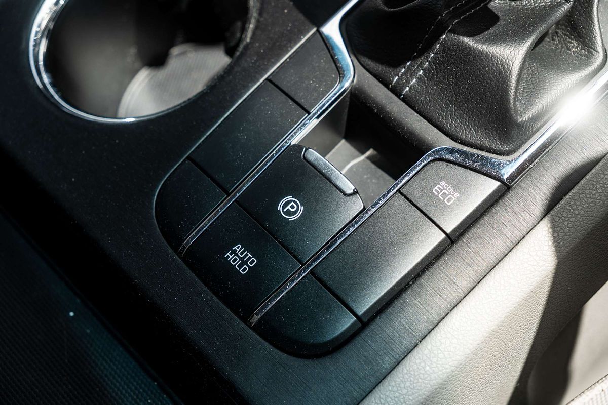 2018 Kia Carnival S YP