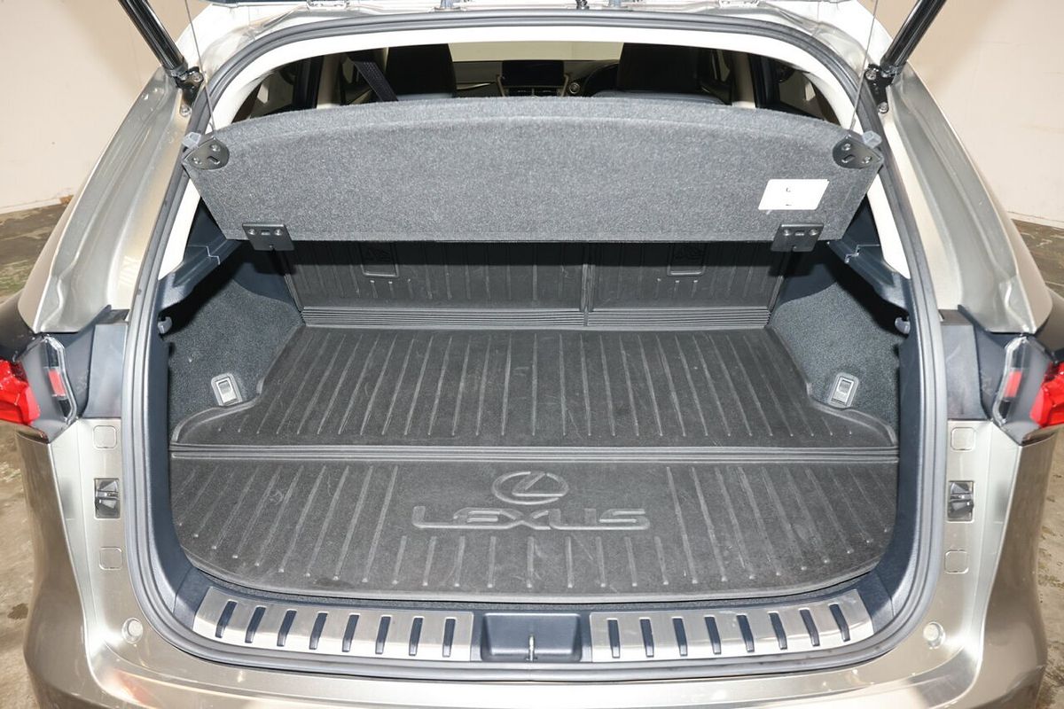 2021 Lexus NX NX300 Luxury AGZ15R