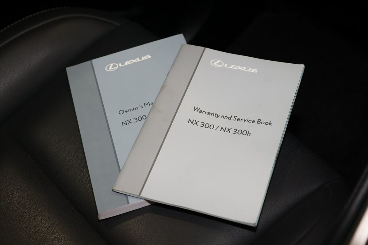 2021 Lexus NX NX300 Luxury AGZ15R